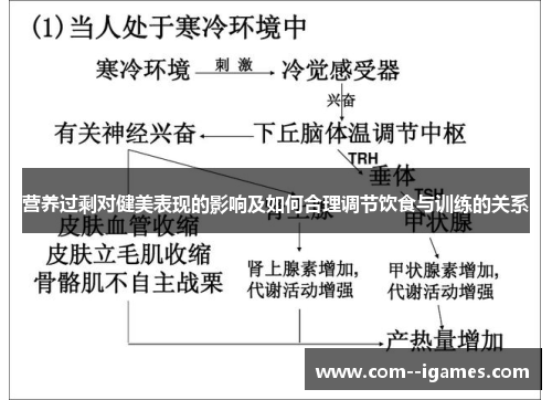 营养过剩对健美表现的影响及如何合理调节饮食与训练的关系