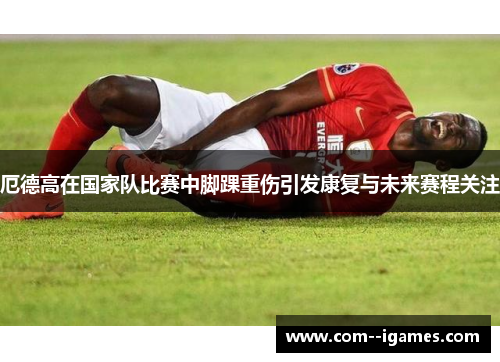 厄德高在国家队比赛中脚踝重伤引发康复与未来赛程关注